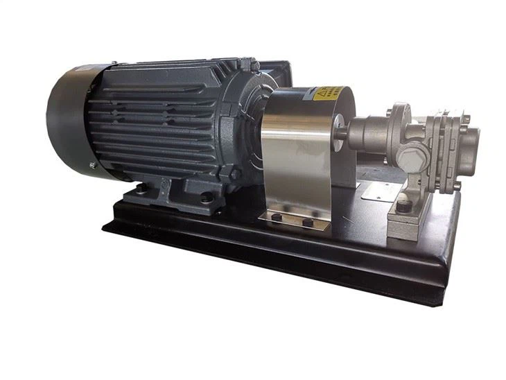 Pharmaceutical And Food Industry Stainless Steel Gear Pump